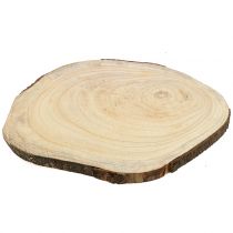 Boomschijf blauwe belboom natuur Ø35–45cm