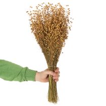 Artikel Natuurlijk gedroogd vlasgras voor droogbloemarrangementen Linum Natur 60cm 180g