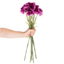 Artikel Kunstanjer, tweekleurig, lange steel 56 cm, bosje van 8