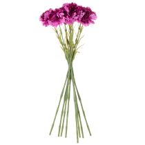 Artikel Kunstanjer, tweekleurig, lange steel 56 cm, bosje van 8