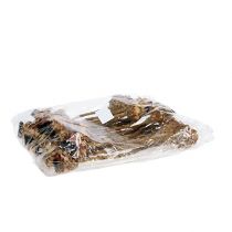 Artikel Nerifolia Knop 25 st