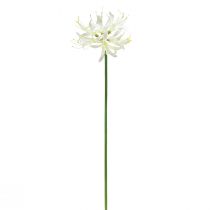 Artikel Nerine Guernsey Lelie Kunstbloem Wit Geel Ø15cm L65cm