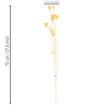 Artikel Nigella droogbloemenarrangement voor langdurig gebruik. Een elegante blikvanger. 70 cm, 50 g