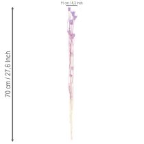 Artikel Boeket gedroogde nigellabloemen, decoratief voor in de woonkamer, creëert een unieke sfeer, 70 cm, 50 g