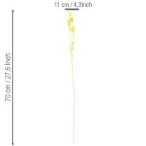 Artikel Gedroogde nigellabloemen, een charmante, natuurlijke kamerdecoratie voor in huis, 70 cm, 50 g