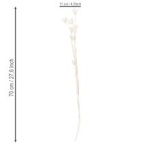 Artikel Gedroogde nigellabloemen, een boeket elegante natuurlijke decoratie voor exclusieve interieurs, 70 cm, 50 g