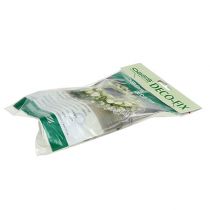 Artikel OASIS® Deco-Fix 10 stuks