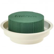 OASIS® Junior Compleet 12 st