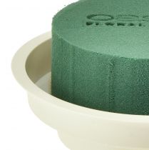 Artikel OASIS® Junior Compleet 12 st