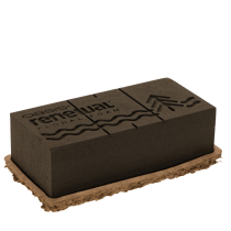 Artikel Bloemenfoam 1/1 blok OASIS® Renewal® Bloemenfoam Biolit® 24cm 2 stuks