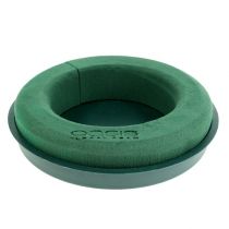 Steekschuimring met schelp groen Ø30cm H4.5cm 2st