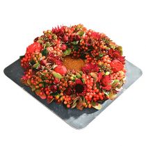 Artikel Steekschuim ring met schaal groen Ø30cm H4,5cm 2 st