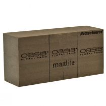 Oasis NatureSource Maxlife Steekschuim Baksteen Bruin 23×11×7,5cm 1st