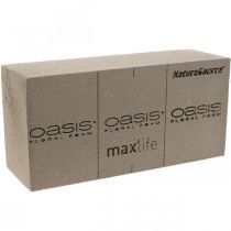 OASIS® BIOLIT® NatureSource steekschuim 23cm×11cm×7cm 10 stuks