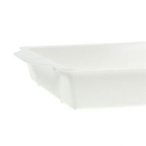 Artikel OASIS® insteekschaal wit 23cm x 11,5cm x 2,5cm 5 stuks