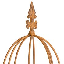 Artikel Tuinrek, klimhulp voor rozen en andere klimplanten, ideaal voor tuinontwerp, 108 cm, set van 2.
