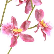 Artikel Oncidium Kunstorchideeën Decoratie Roze Violet 93cm 2st