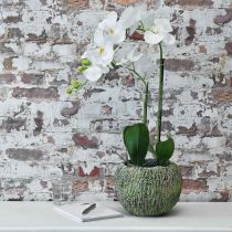 Artikel Plantenbak beton antiek look groen, bruine plantenpot rond Ø15.5cm