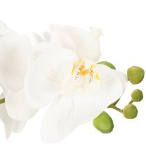 Artikel Kunstmatige orchidee in een pot voor een harmonieuze sfeer, wit, 60 cm