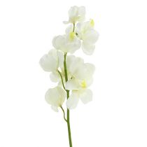 Orchidee kunst crème 50cm 6st