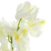Artikel Orchidee kunst crème 50cm 6st