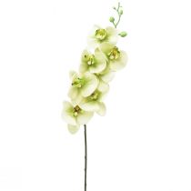 Artikel Orchidee Kunst Geelgroene Phalaenopsis L83cm