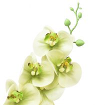 Artikel Orchidee Kunst Geelgroene Phalaenopsis L83cm