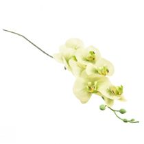 Artikel Orchidee Kunst Geelgroene Phalaenopsis L83cm