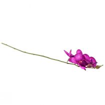 Artikel Orchidee Kunst Phalaenopsis 4 bloemen Fuchsia 72cm