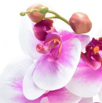 Artikel Orchidee Kunst Phalaenopsis 4 Bloemen Wit Roze 72cm