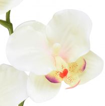 Artikel Orchidee Phalaenopsis kunst 6 bloemen crème roze 70cm