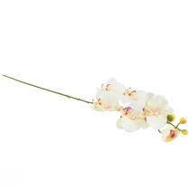 Artikel Orchidee Phalaenopsis kunst 6 bloemen crème roze 70cm