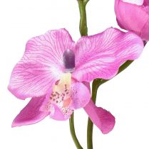 Artikel Orchidee Phalaenopsis kunst 6 bloemen paars 70cm
