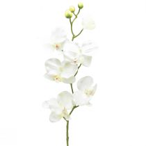 Artikel Orchidee Phalaenopsis kunst 6 bloemen wit crème 70cm