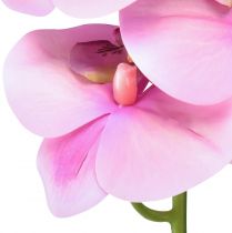 Artikel Orchidee Phalaenopsis kunst 8 bloemen roze 104cm