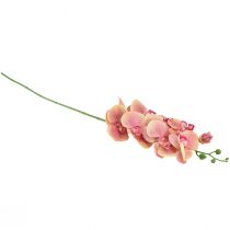 Artikel Orchidee Phalaenopsis kunst 9 bloemen roze vanille 96cm