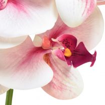 Artikel Orchidee Phalaenopsis kunst 9 bloemen wit fuchsia 96cm