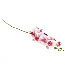 Artikel Orchidee Phalaenopsis kunst 9 bloemen wit fuchsia 96cm