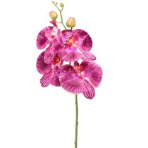 Orchidee gevlamde Phalaenopsis kunstpaars 72cm