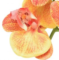 Artikel Kunstorchidee Phalaenopsis gevlamd rood geel 78cm