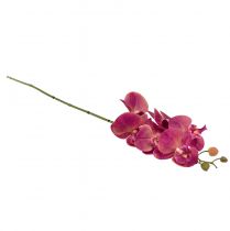 Artikel Kunstorchidee Phalaenopsis Orchidee Fuchsia 78cm