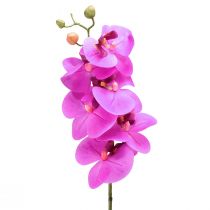 Artikel Kunstorchidee Phalaenopsis Orchidee Roze 78cm