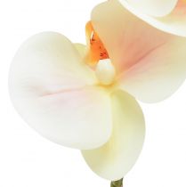 Artikel Kunst Orchidee Creme Oranje Phalaenopsis 78cm