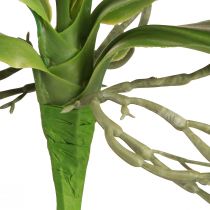 Artikel Orchideebladeren met luchtwortels kunstmatig 34x8x18cm