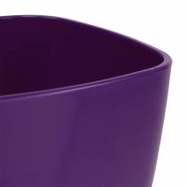Artikel Orchideeënpot, glanzend, Ø12,5 cm, violet