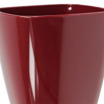 Artikel Orchideepot glanzend Ø12,5cm Bordeaux 1 st