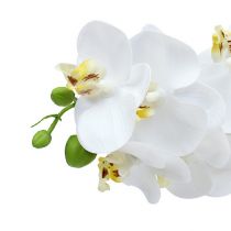 Artikel Orchidee tak wit L58cm