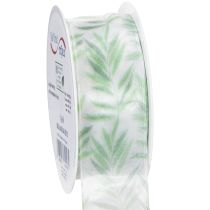 Artikel Organzalint, chiffonlint, groen plantenlint, 40 mm x 15 m