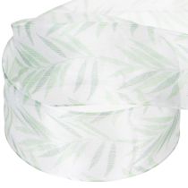 Artikel Organzalint, chiffonlint, groen plantenlint, 40 mm x 15 m