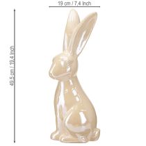 Artikel Paashaas Keramiek in Beige Keramiek Konijn Groot H49.5cm